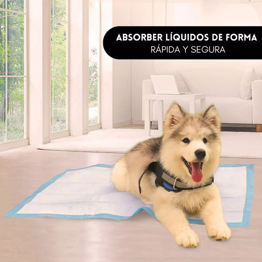 Empapadores de entrenamiento